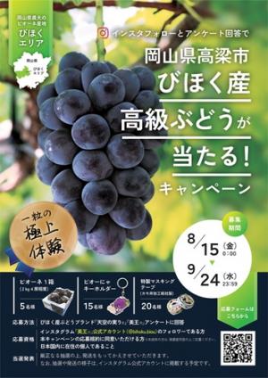 【キャンペーンチラシの画像】