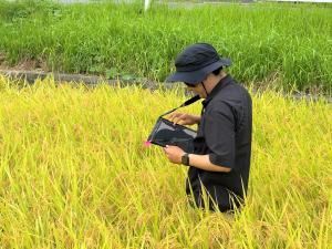 【審査結果をタブレットに入力する審査員】の画像