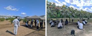 圃場視察の様子を撮影した写真です