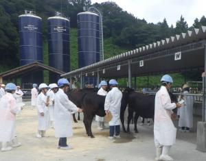 競技の様子(1)