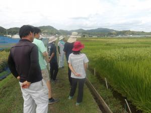 試験圃場見学の様子を撮影した写真です