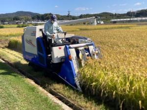 収穫の様子を撮影した写真です