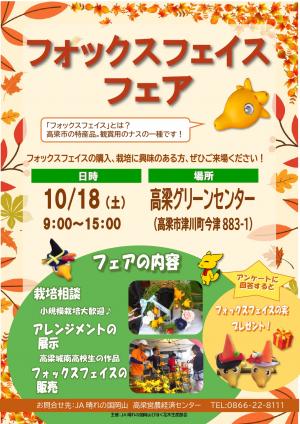 チラシ