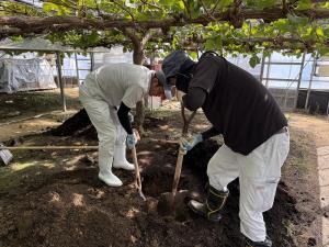 土壌改良の様子を撮影した写真です
