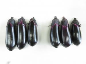 新品種の果実を撮影した写真です