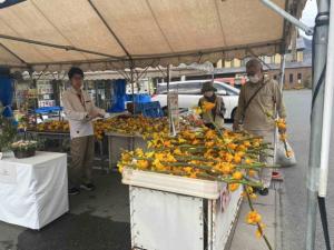 立派なフォックスフェイスを選ぶ来場者