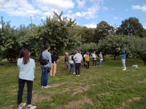 研修の様子を撮影した写真です