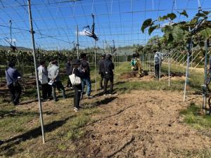 圃場での説明の様子を撮影した写真です