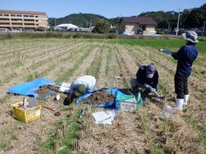 土壌調査の様子を撮影した写真です