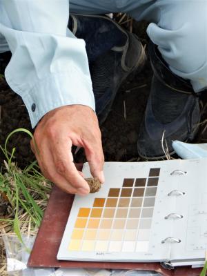 土壌の色を調査している様子を撮影した写真です