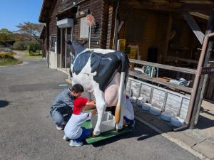 模擬搾乳　実践