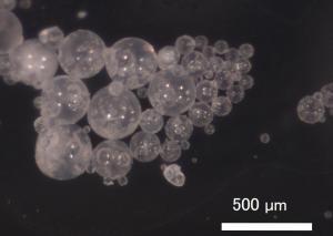 洗顔料中のマイクロビーズ