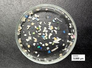 二次マイクロプラスチック