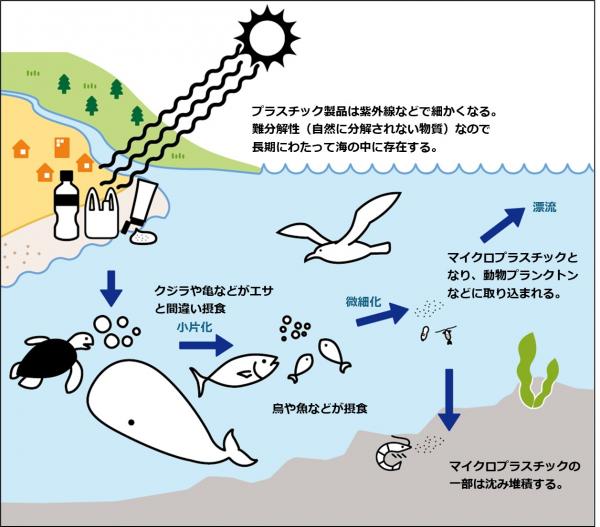 二次マイクロプラスチックの発生に係る模式図