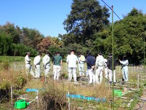 森林研究所内施設の見学（少花粉コンテナ苗）