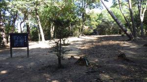 東方建物（塔跡）の埋め戻しの様子（西から）