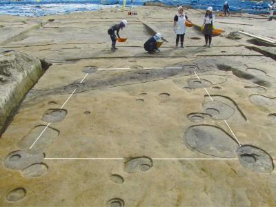 奈良時代の掘立柱建物（山王遺跡）