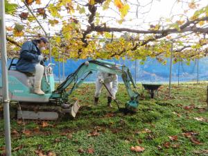 バイオ炭施用の様子