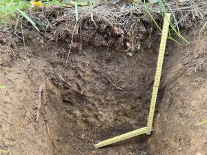 土壌を掘って、断面を撮影した写真です