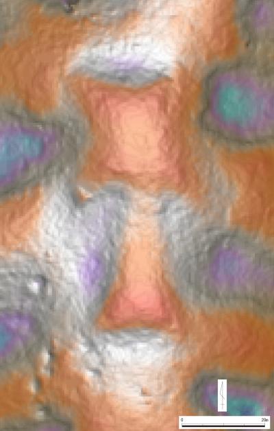 奥ノ谷古墳の微地形図