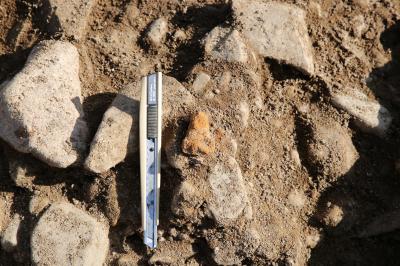 小型農工具（斧）（西から）