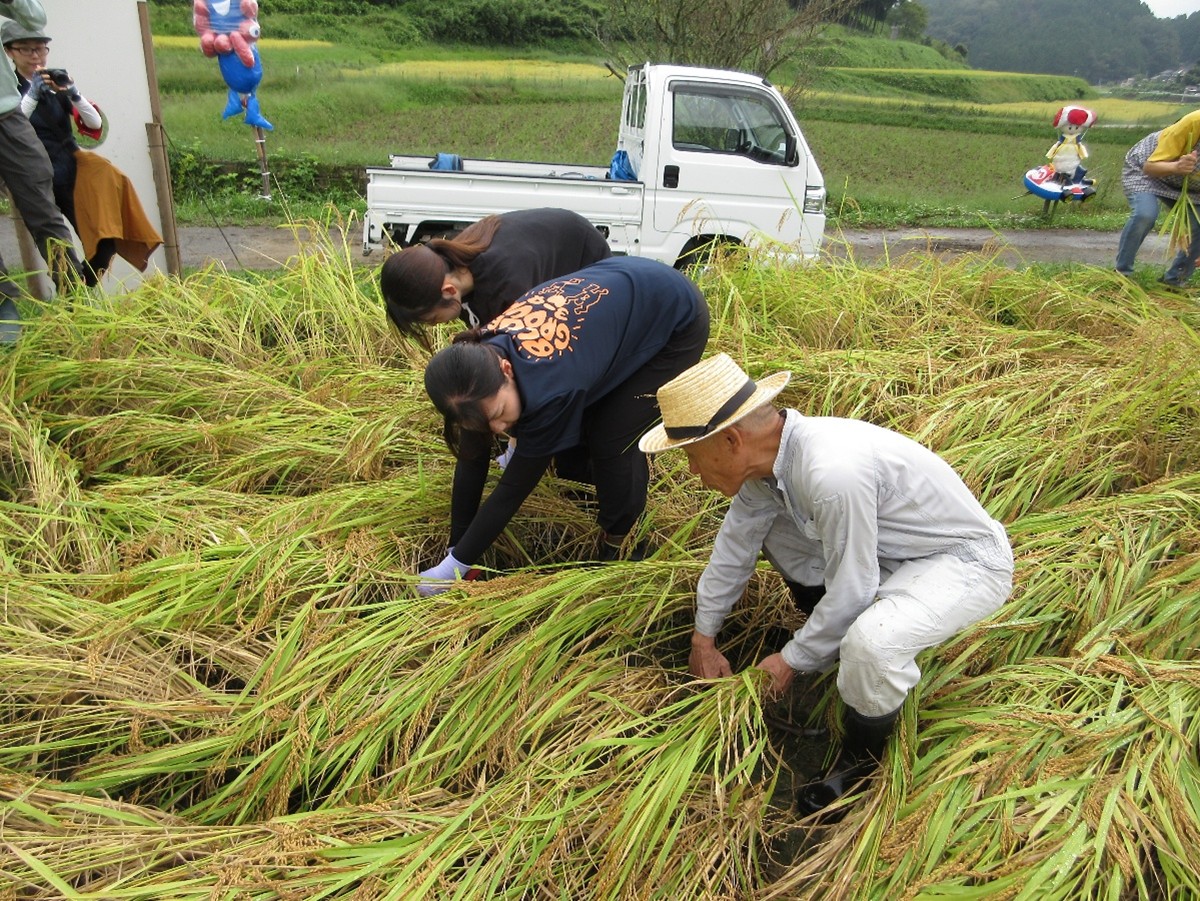 おかやま元気！集落応援団