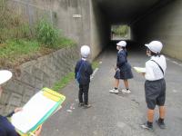 フィールドワーク