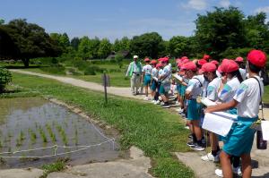 令和７年度　津島遺跡見学