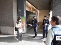 シーガルズの選手