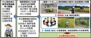 研究内容のフロー図を示しています