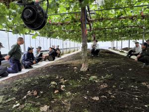 視察の様子を撮影した写真です