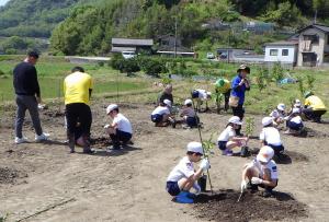 協力しながら苗木の植え付けを行う児童