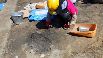 滝谷川遺跡で出土した炭化した建築部材を掘り出している様子