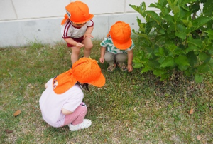 中央かめっこ保育園②