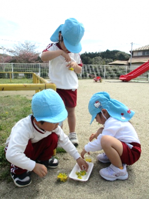 中央かめっこ保育園④