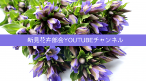新見花卉部会YouTubeチャンネル