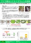 害虫