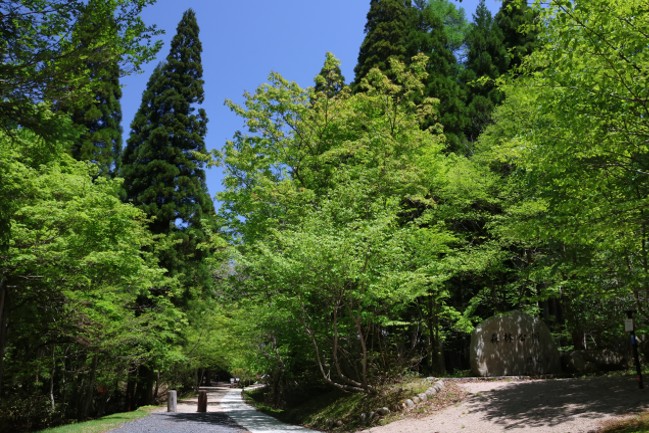 森林公園入口写真