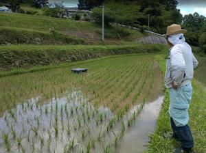 【アイガモロボットの除草作業の様子】