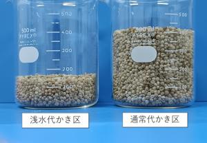 【捕集したプラ殻量の比較】