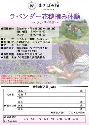 チラシ