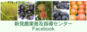新見農業普及指導センターFacebookリンクバナー