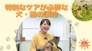サムネ