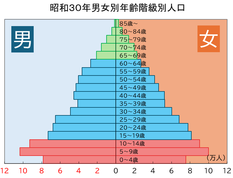 「昭和30年の岡山県男女別年齢階級別人口ピラミッド」のグラフ