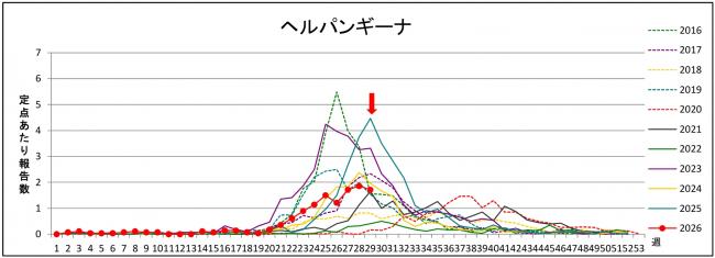 ヘルパングラフ