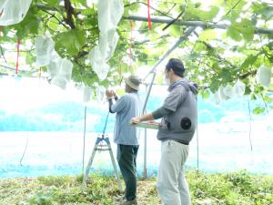 生育状況を調査する協議会員