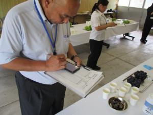 スマートフォンを用いて採点を入力する審査員