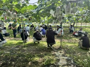 視察の様子を撮影した写真です