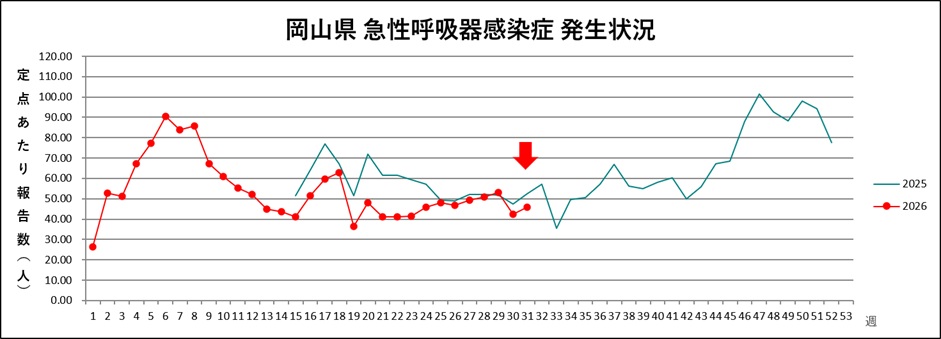 発生状況
