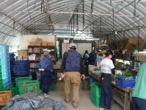 野菜出荷場を見学
